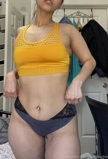 theantibarbie