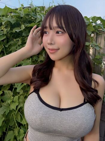 Towa Rabbit