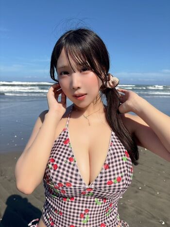 Towa Rabbit