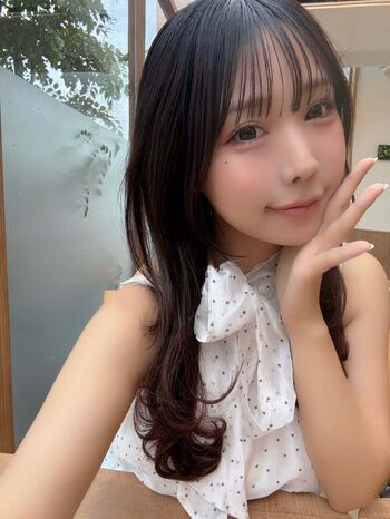 Towa Rabbit