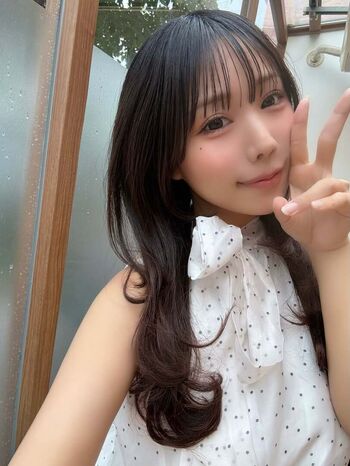 Towa Rabbit
