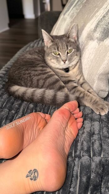 Tray.fitfever | Tray Soe