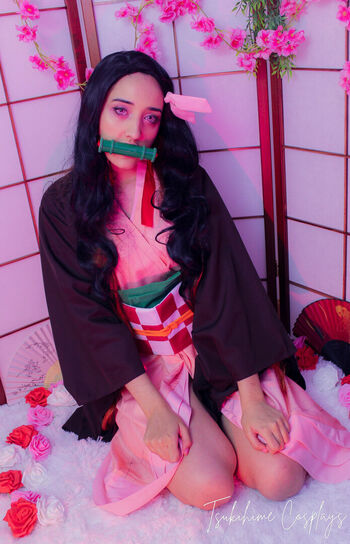 Tsukihime Cosplays