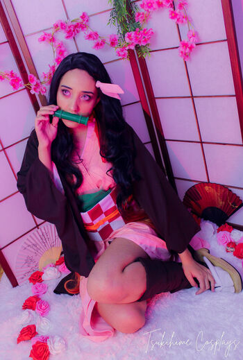 Tsukihime Cosplays