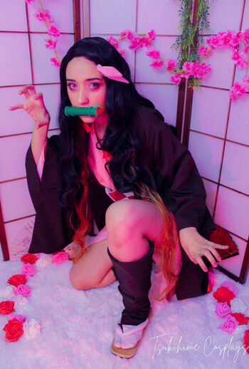Tsukihime Cosplays