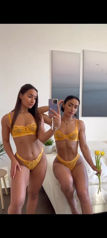 twinsb_fit