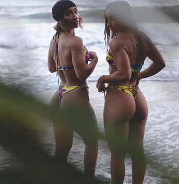 twinsb_fit