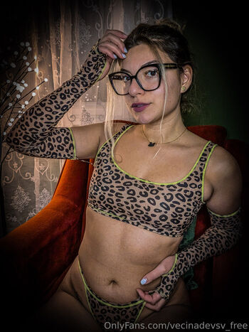 vecinadevsv_free