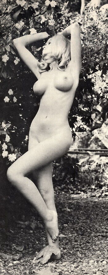 Vintage English Pinups