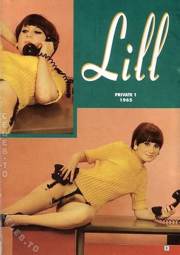 Vintage Erwachsenen Zeitschriften