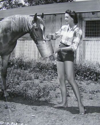 Vintage Sexy Celebs