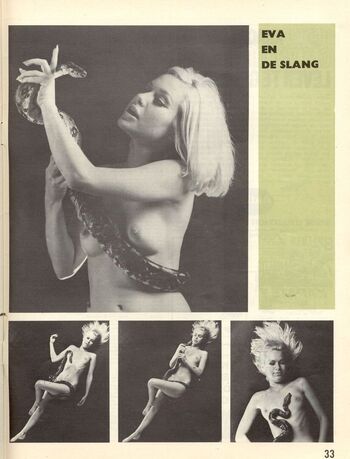 Vintage Starlets