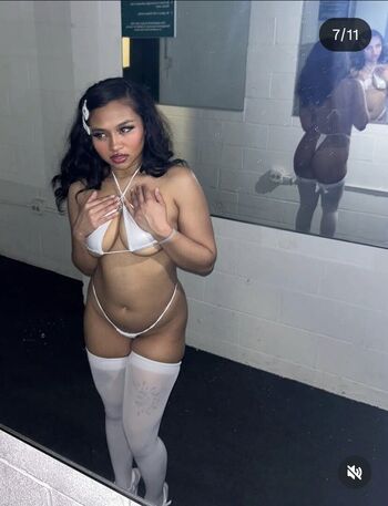 Visual Vixen
