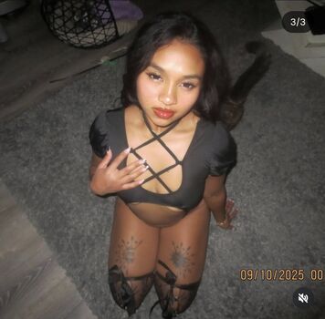 Visual Vixen