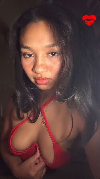 Visual Vixen