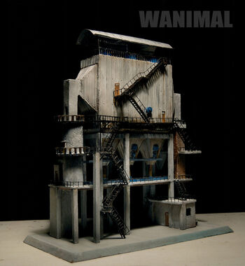 Wanimal Models
