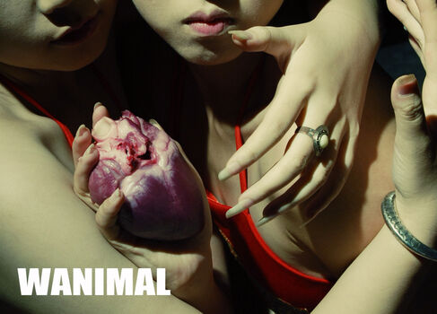 Leaked Wanimal models private photo viral onlyfans
