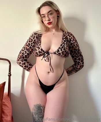 Yorkshirestripper