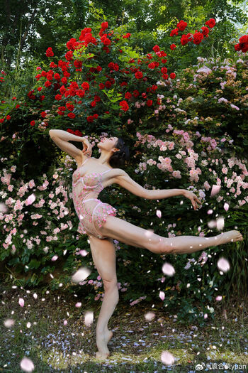 Yuan Herong