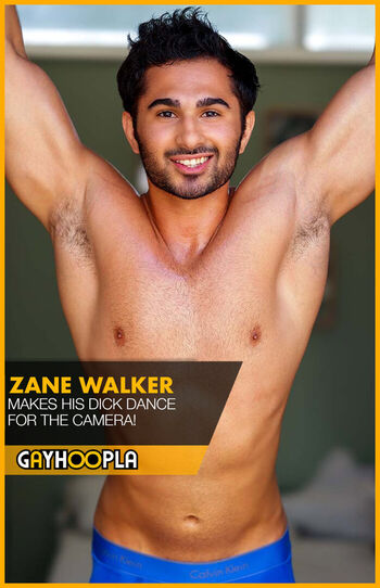 Zanewalker