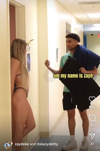 zaydelie