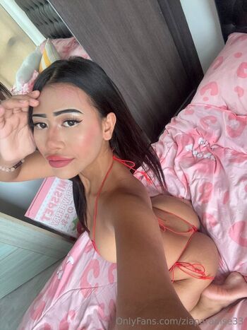 ziaparadise33