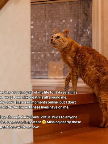 Leaked Phavolla/ private photo viral onlyfans